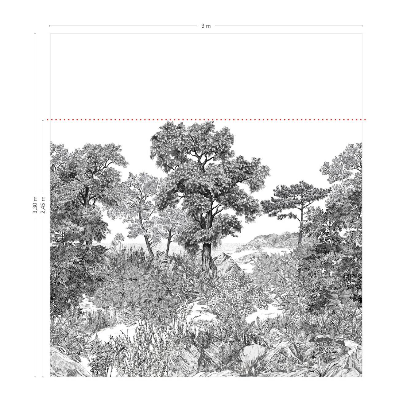 FORÊT DE BRETAGNE - Image 4